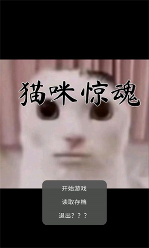 猫咪惊魂游戏正版