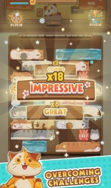 猫猫安全滑动拼图图4