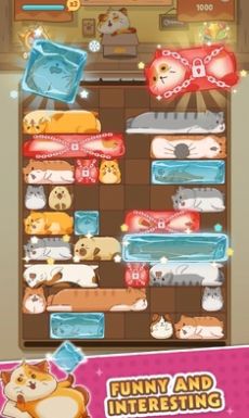 猫猫安全滑动拼图图1