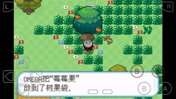 口袋妖怪剑盾内置修改器图1