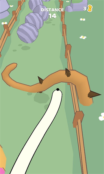 长鼻子狗(Long Nose Dog)