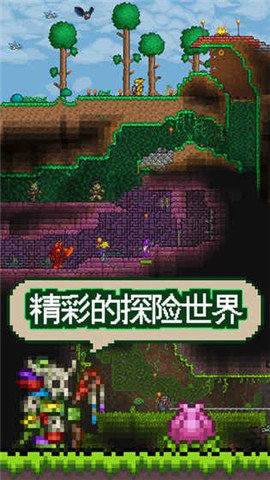 泰拉瑞亚灾厄wiki图2
