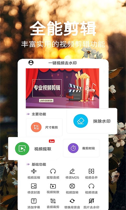 敏德去水印大师
