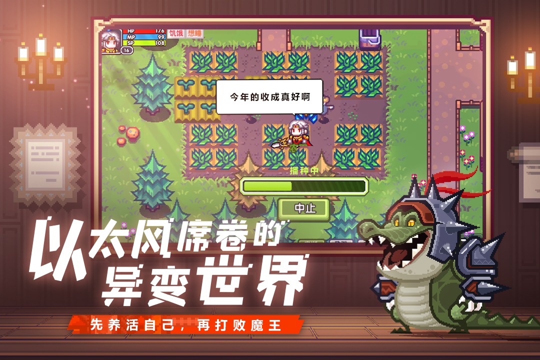 伊洛纳国际服图1