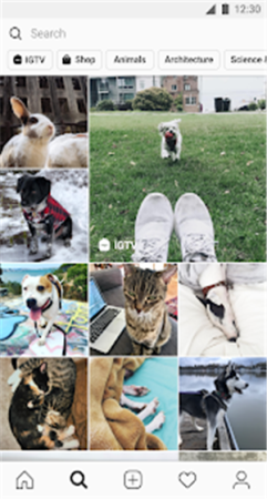 instagram10.29版本图1