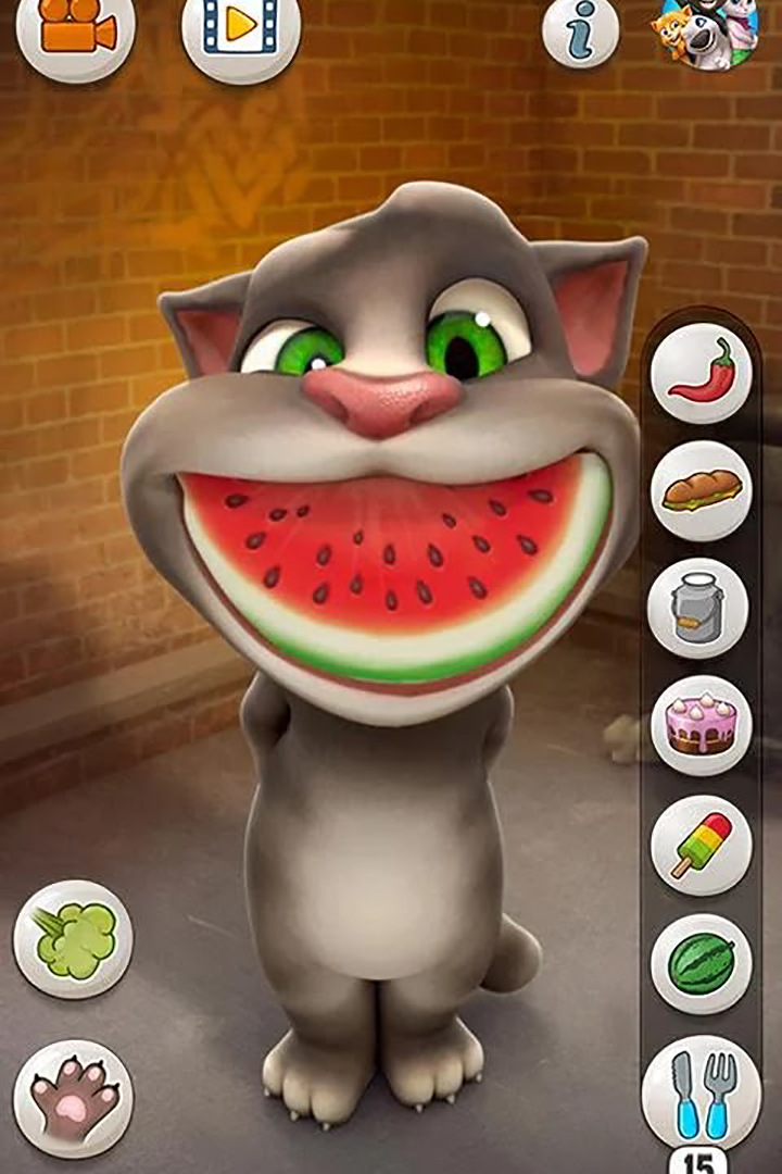 会说话的汤姆猫免费版图2
