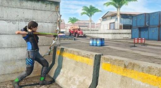弓箭手猎杀者（Archer Assassin shooting game）