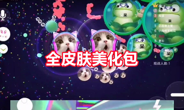 全皮肤美化包图标