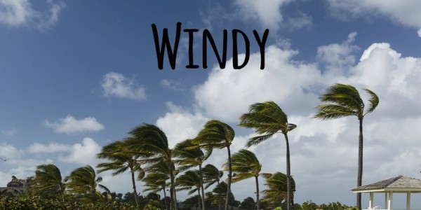 WINDY所有版本合集图标