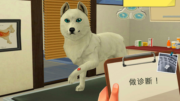 Pet Hospital Simulator