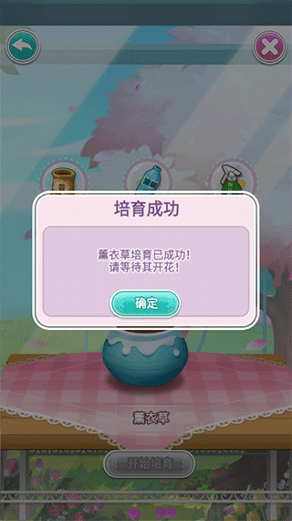 鲜花小镇安卓版图3