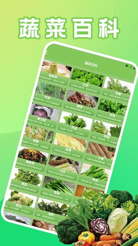 菜园大师好运app图1