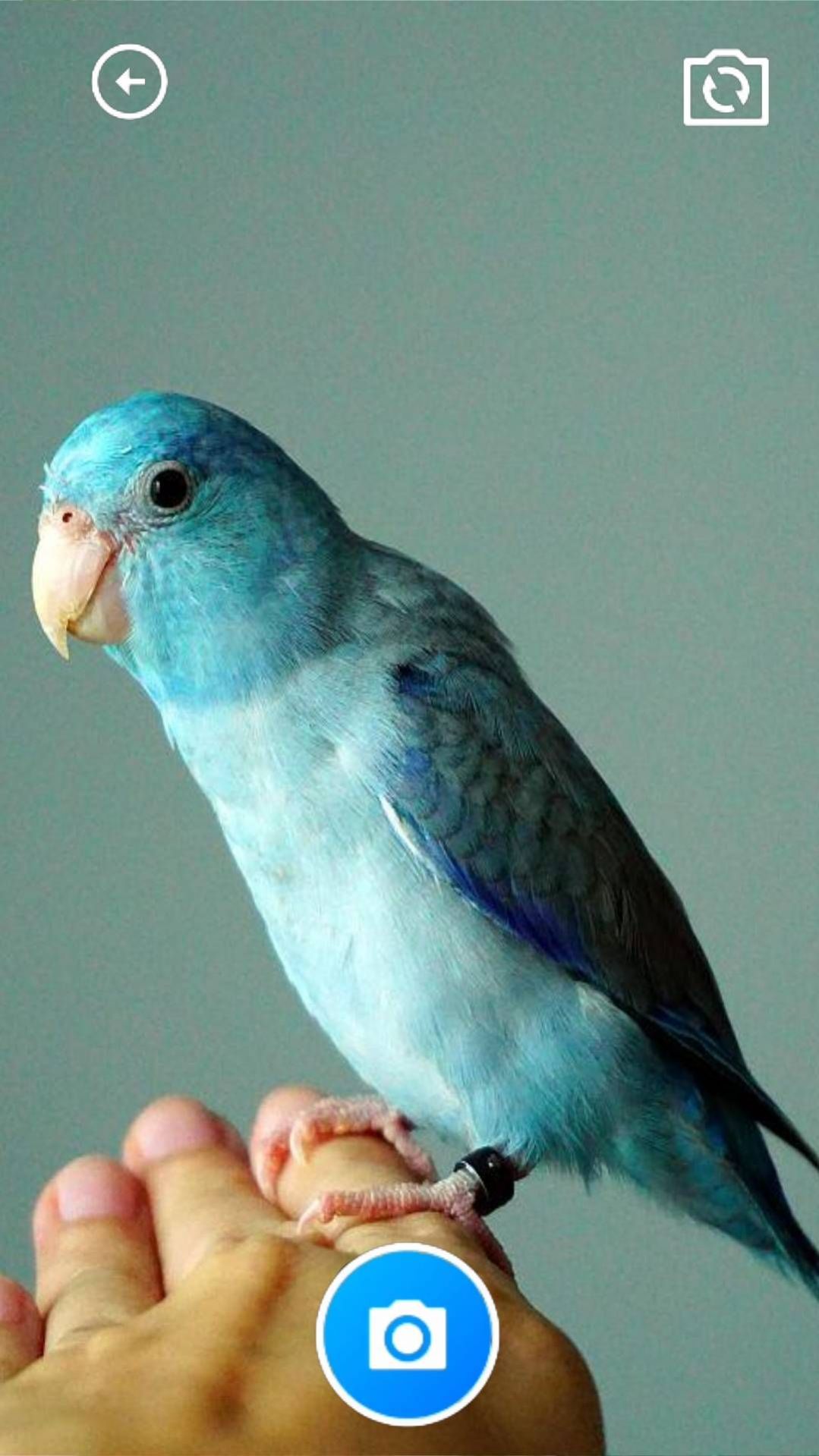 巧玲珑锦盒最新版图1