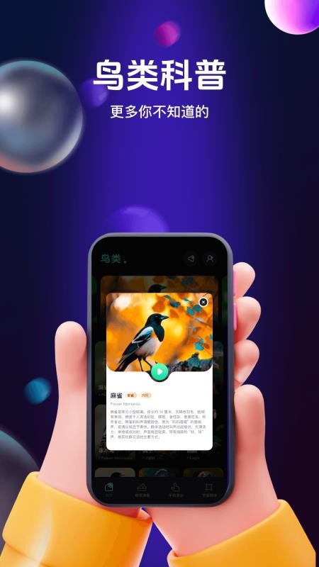 鸟儿摇鸣曲app图1