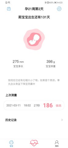 fetalheart胎心仪软件
