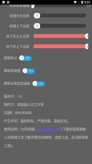 某某输入法app图2