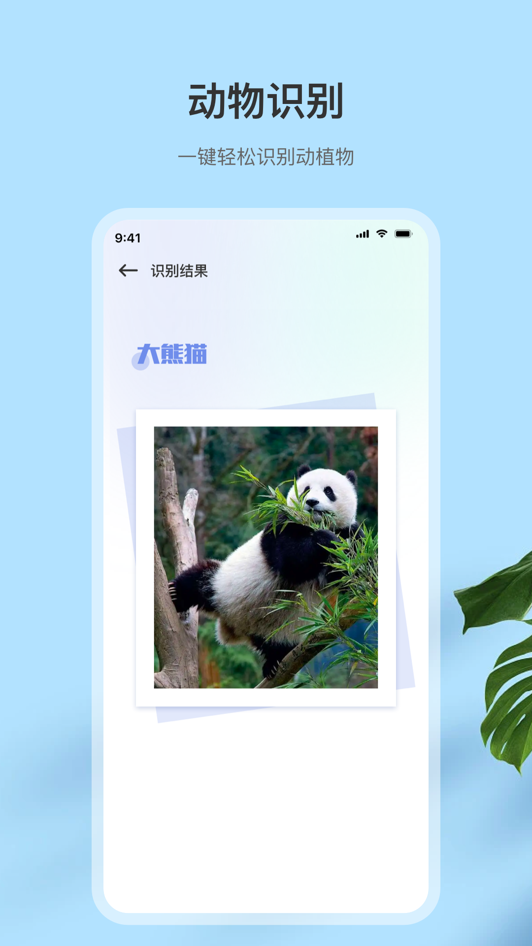 OCR图片转文字app