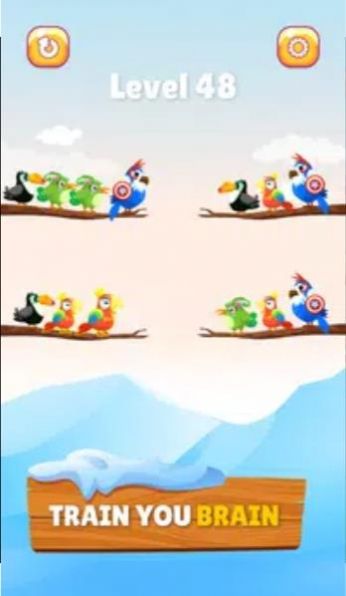 小鸟分类大师（Bird Sort Master）游戏图3