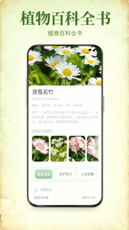 花札物语花草记app图4