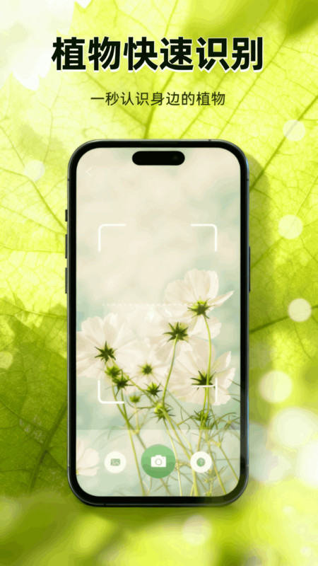 花札物语花草记app图1