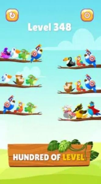 小鸟分类大师（Bird Sort Master）游戏图2