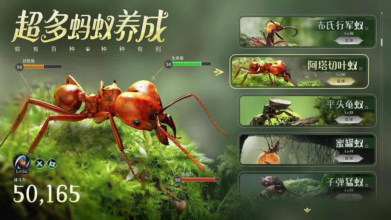 守望家园手机版图1