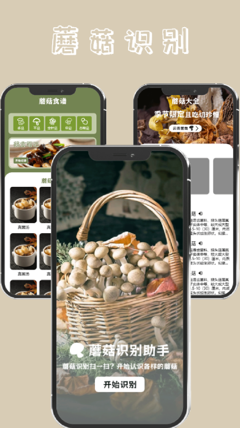 蘑菇识别app