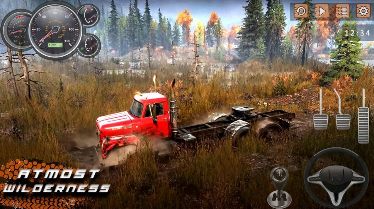 truck driving图3