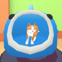 猫咪的旅程游戏图标