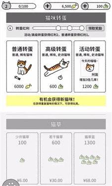 猫咪真的很可爱图3
