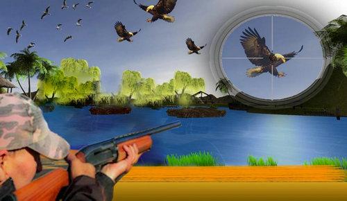 Bird Hunting Master图3