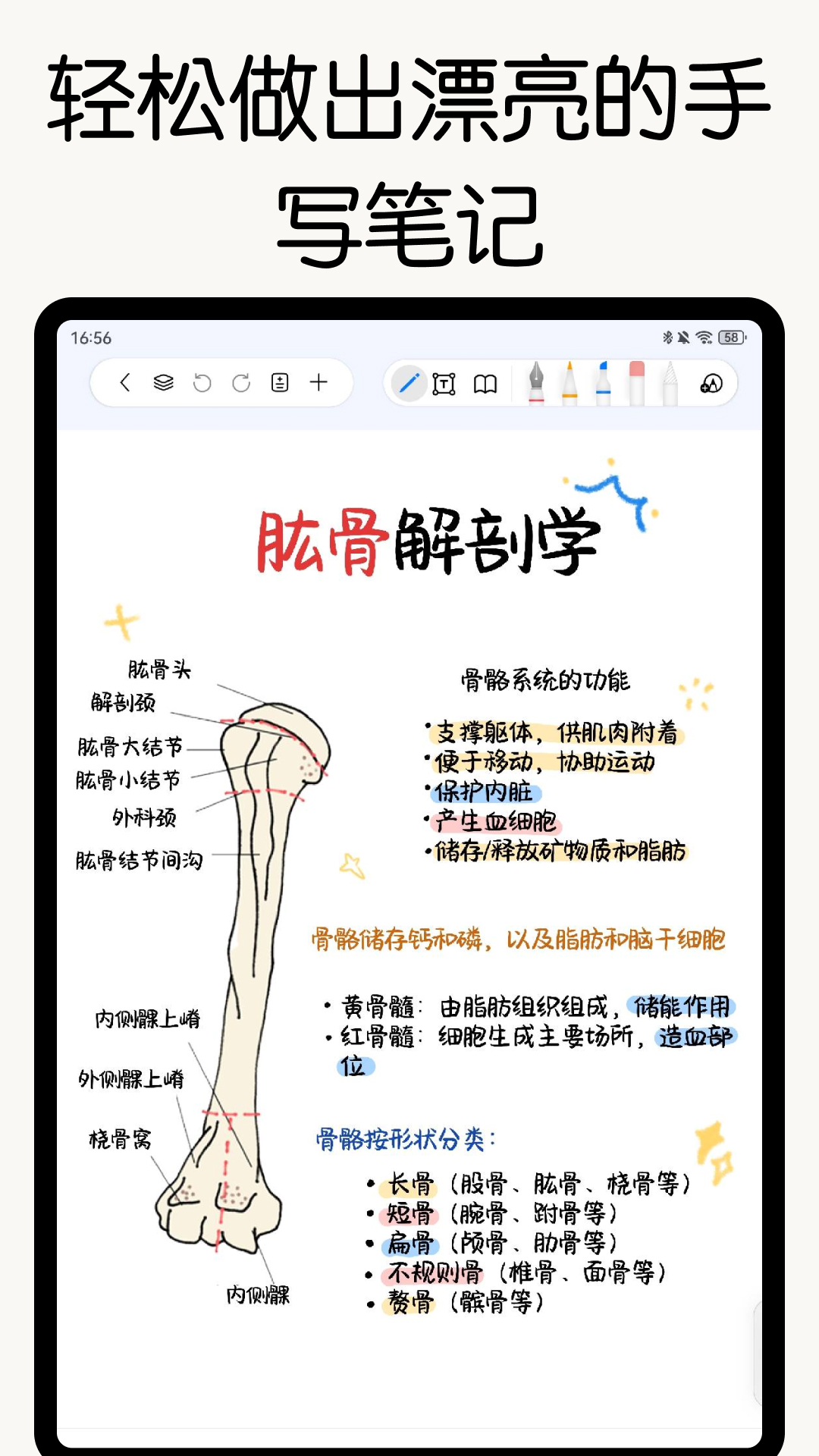 自由笔记图3