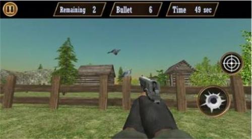 Pigeon Shoot图3