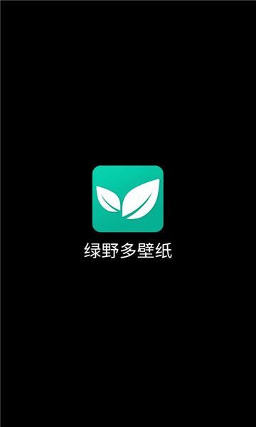 绿野多壁纸app图3