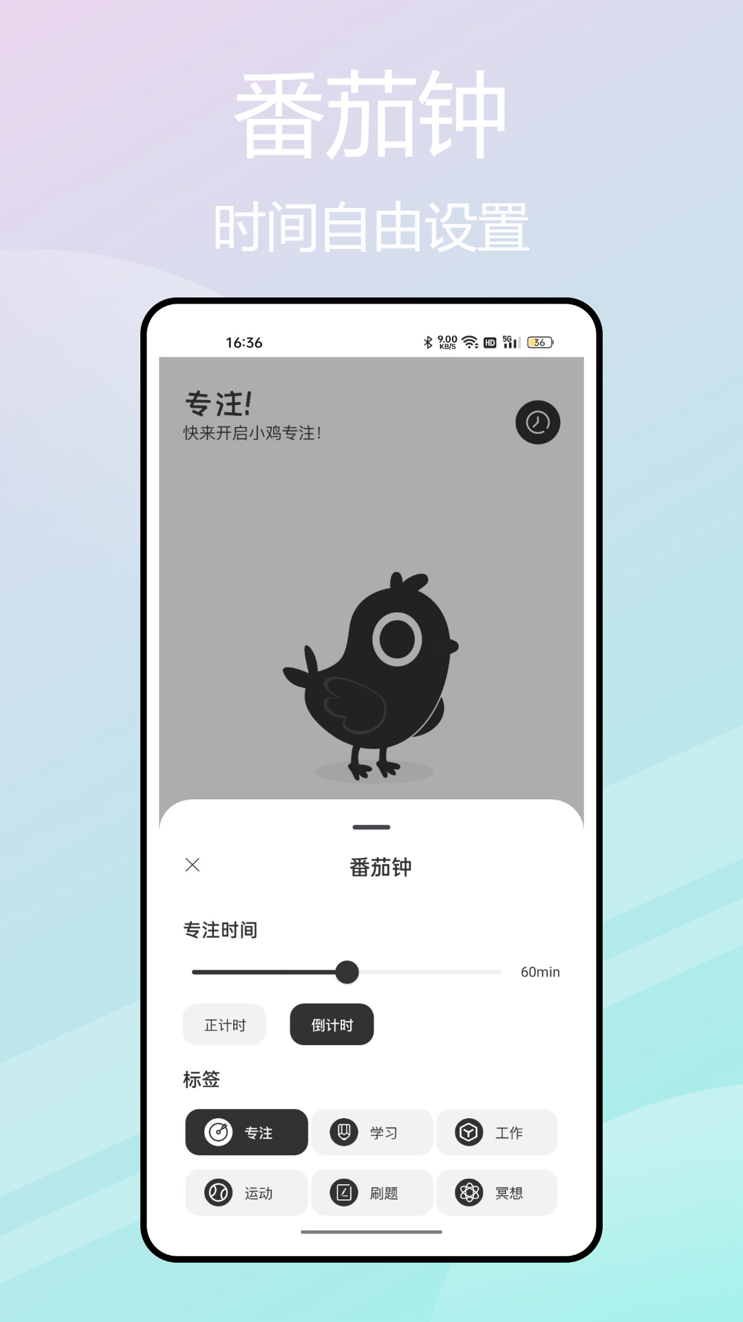 小鸡专注学习图2