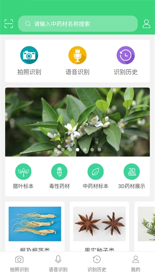 照药镜图3