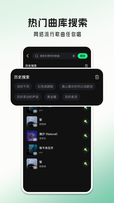 经典老歌大全图2