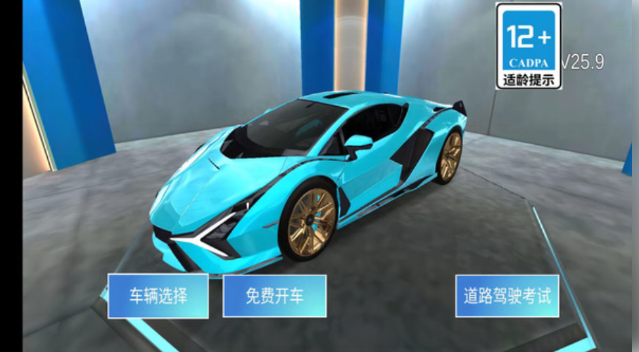 模拟驾驶高手图3