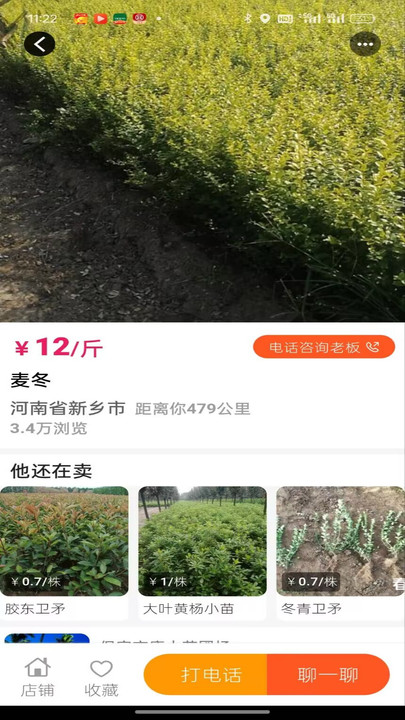 春种图1