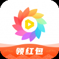 全局透明壁纸图标