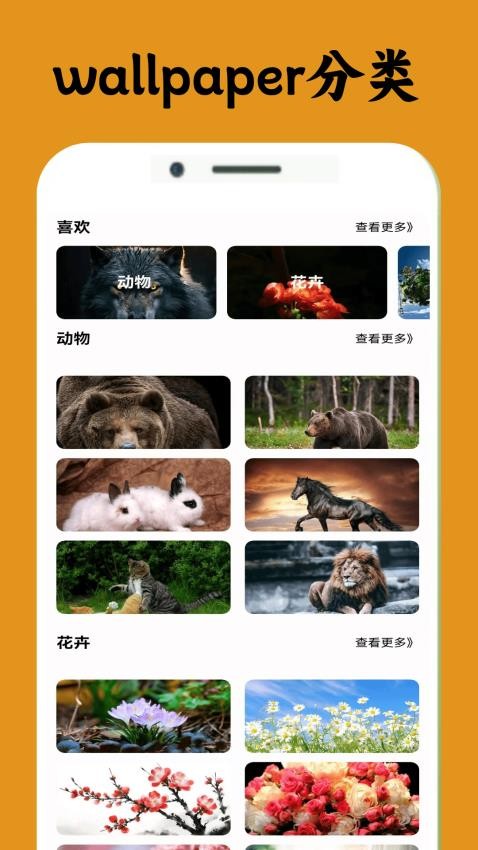 闪玩wallpaper图4