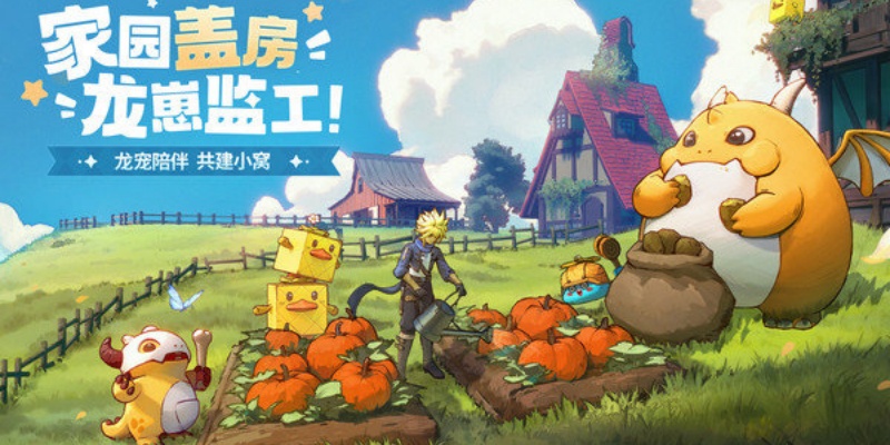 龙骑士学园