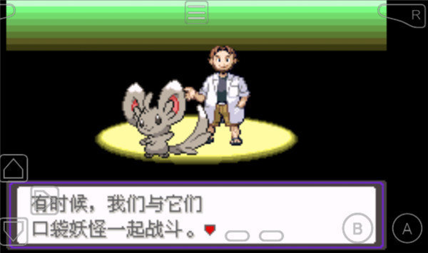 口袋妖怪漆黑的魅影EXBW手机版图2