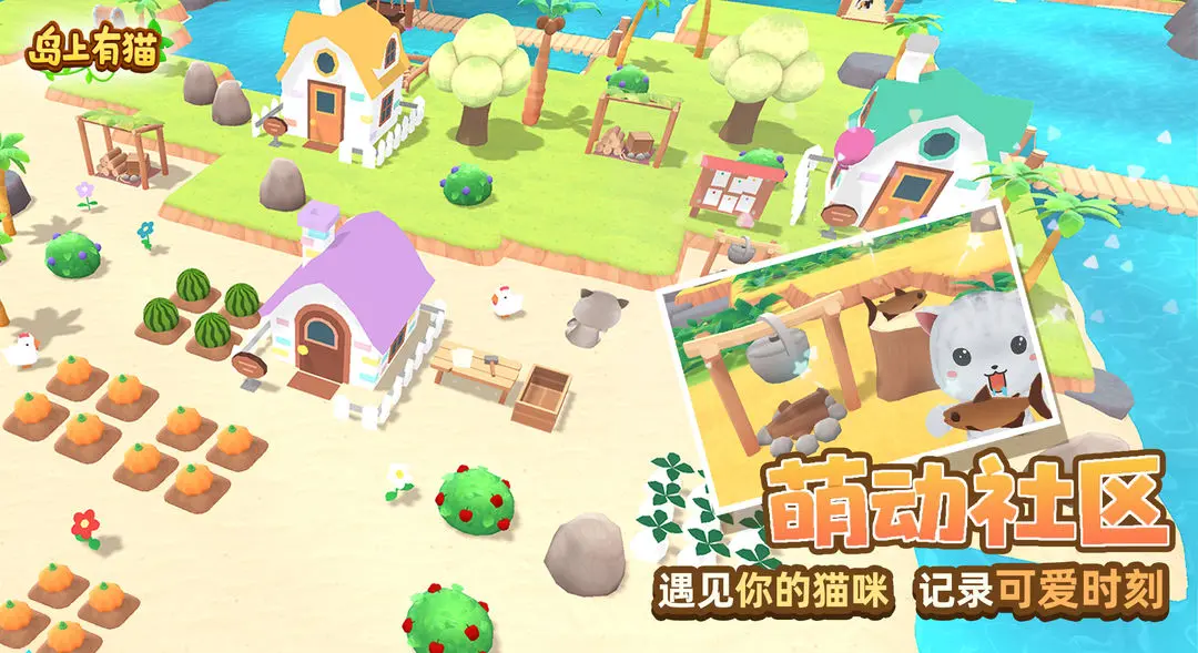 岛上有猫图3