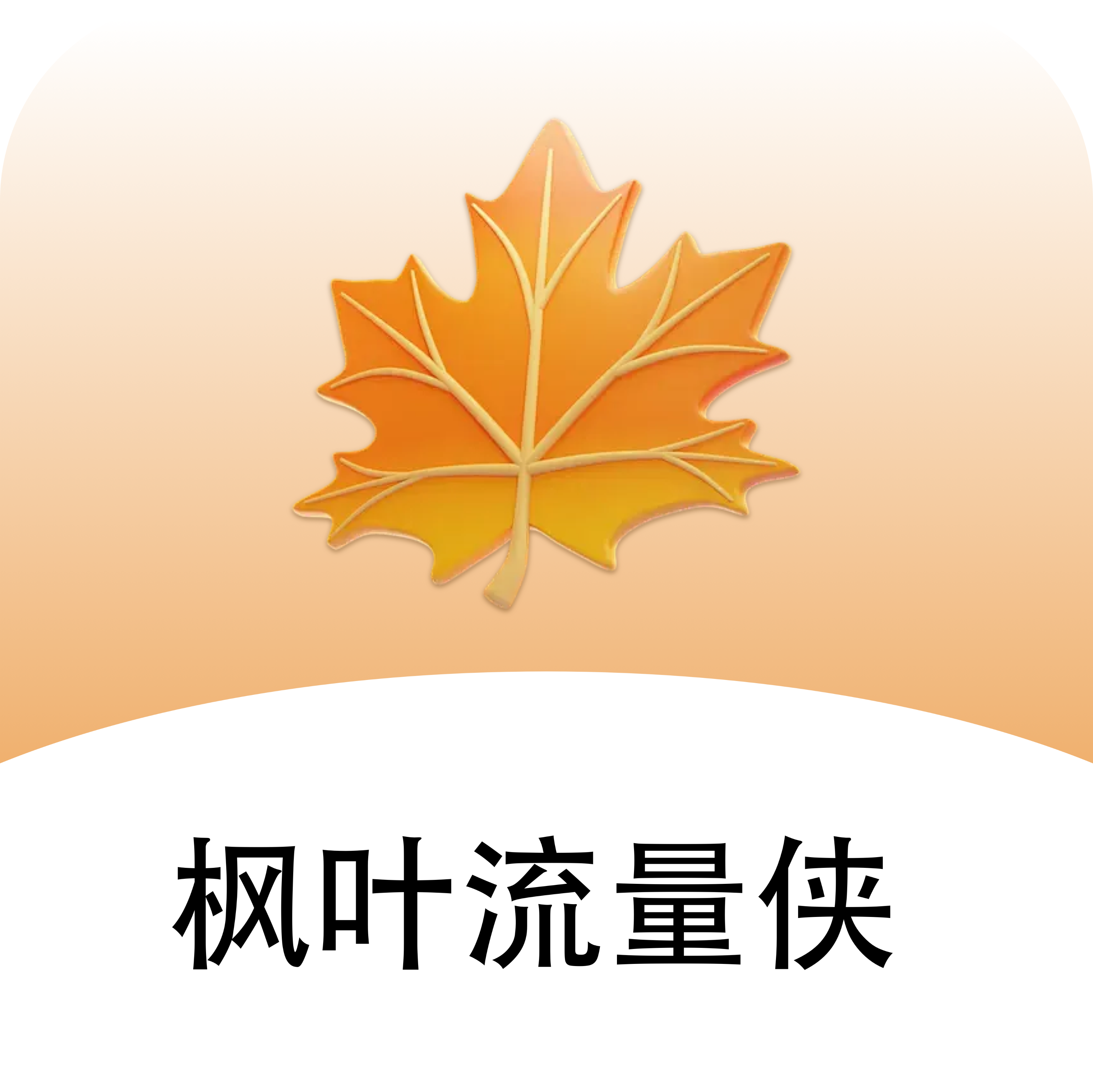 枫叶流量侠图标