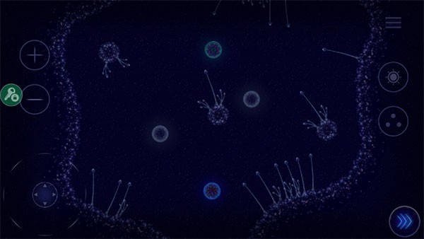Microcosmum图2