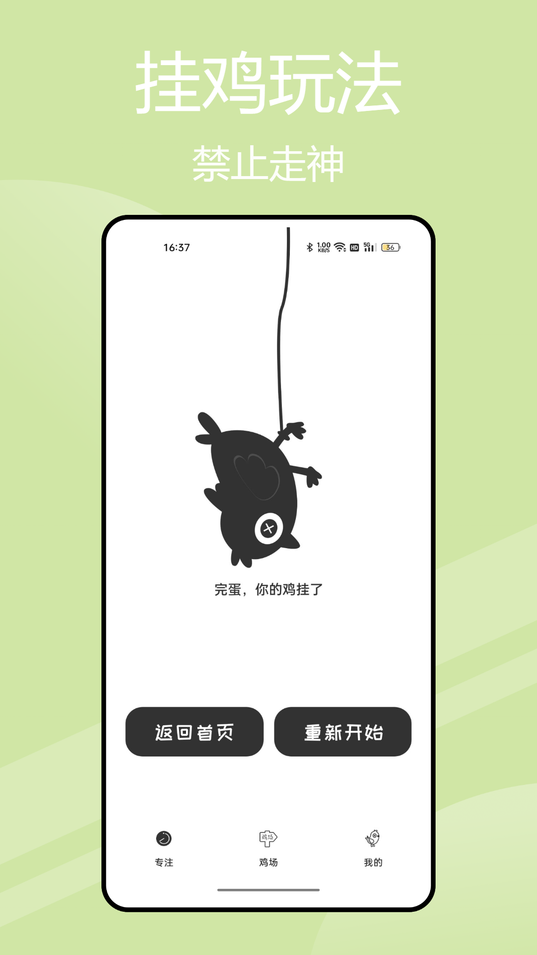 小鸡专注学习图3