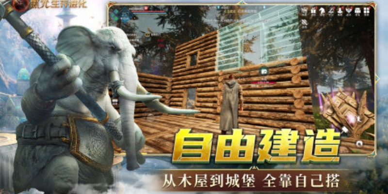 黑光生存进化