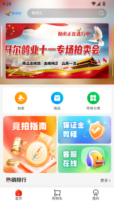 青鸽拍图4