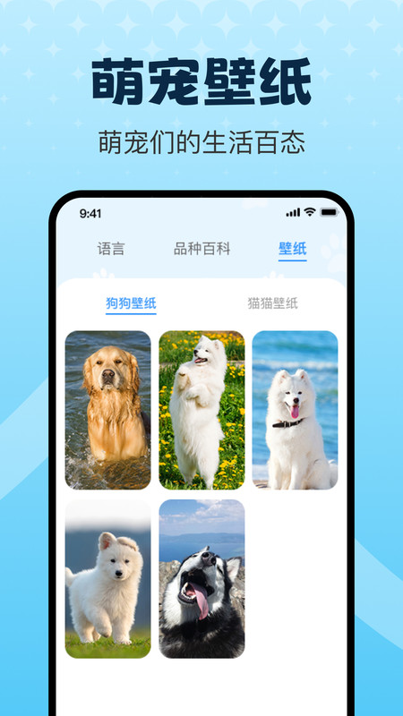 动物翻译器pet